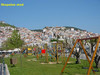 Skopelos stad